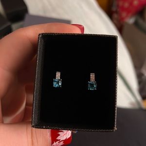 Blue and white ice earrings